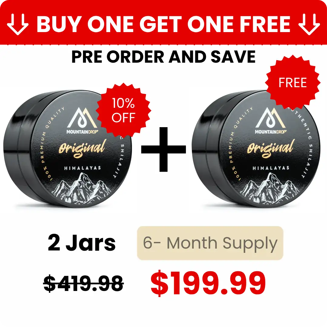 Himalayan Shilajit 2x 45g